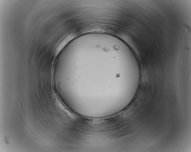 X0000102221290200808081308