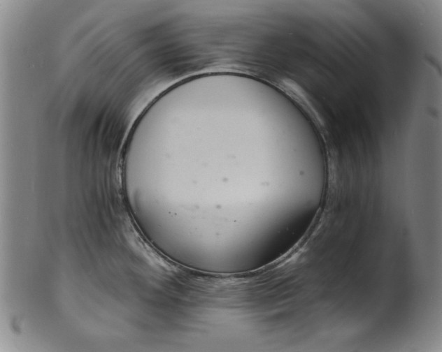 X0000102221292200808081308