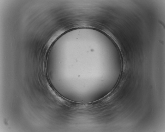 X0000102221293200808081308