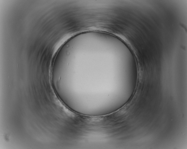 X0000102221294200808081308