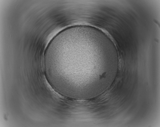 X0000102221295200808081308