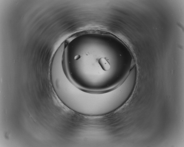 X0000102221296200808081308