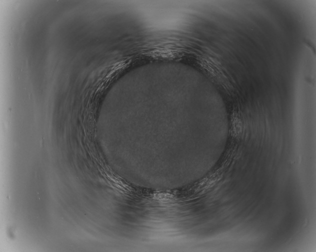 X0000102221297200808081307