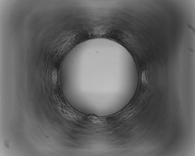 X0000102221299200808081308