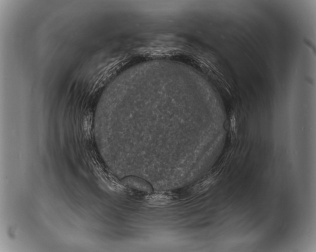 X0000102221300200808081308