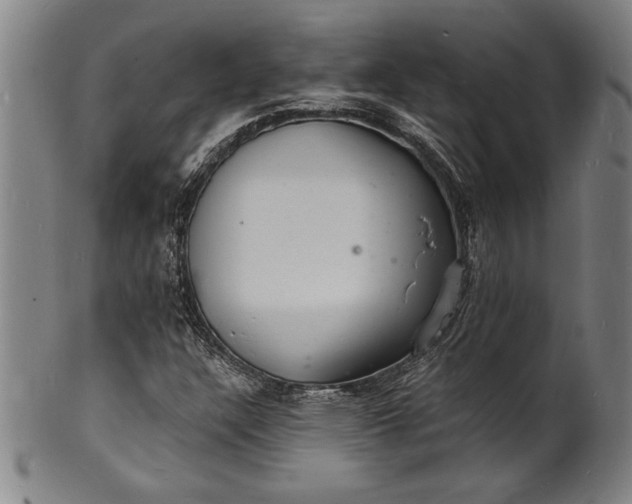 X0000102221304200808081308