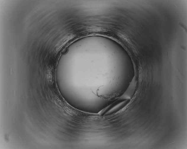 X0000102221305200808081308