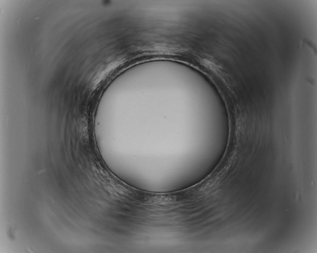 X0000102221307200808081308