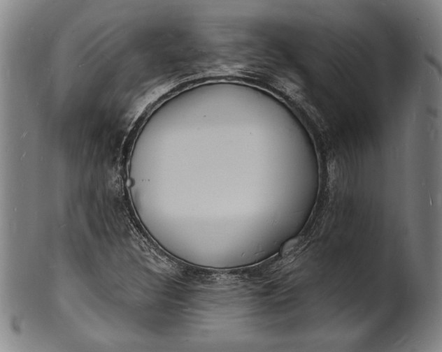 X0000102221308200808081308