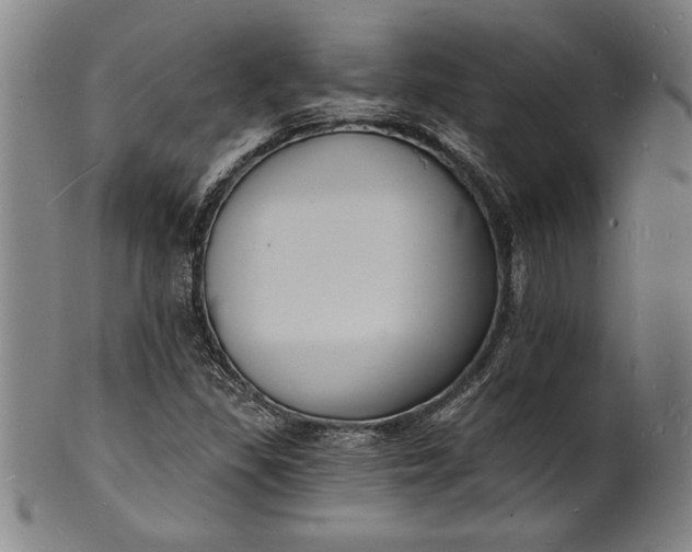 X0000102221309200808081308