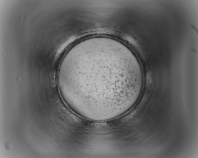 X0000102221310200808081308