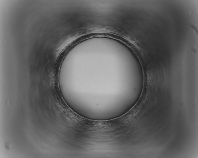 X0000102221311200808081308