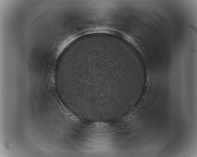 X0000102221312200808081308