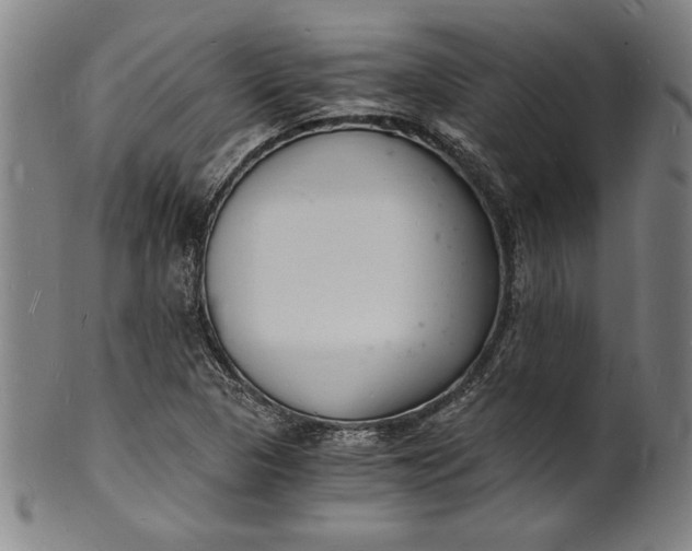 X0000102221313200808081308