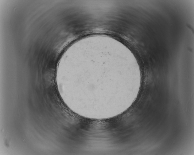 X0000102221314200808081308