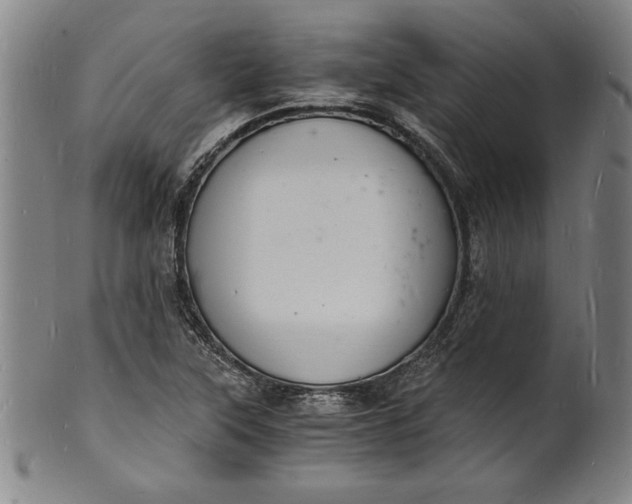 X0000102221315200808081308