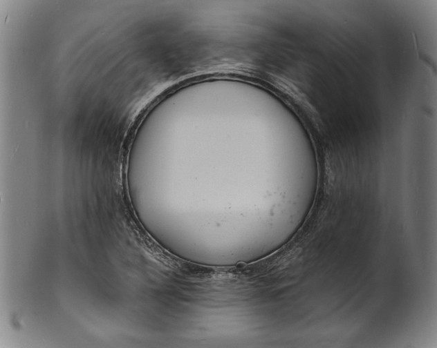 X0000102221316200808081308