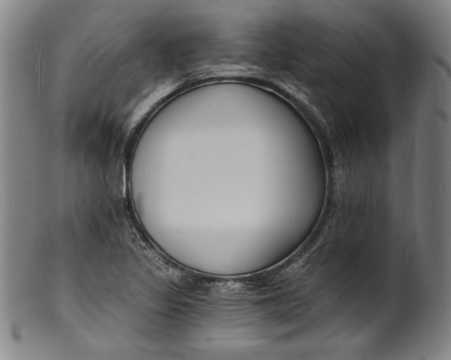 X0000102221317200808081308