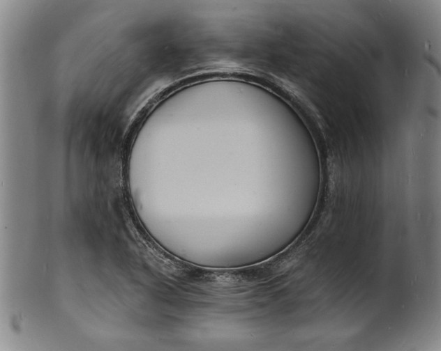 X0000102221318200808081308