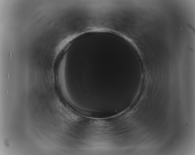 X0000102221319200808081308