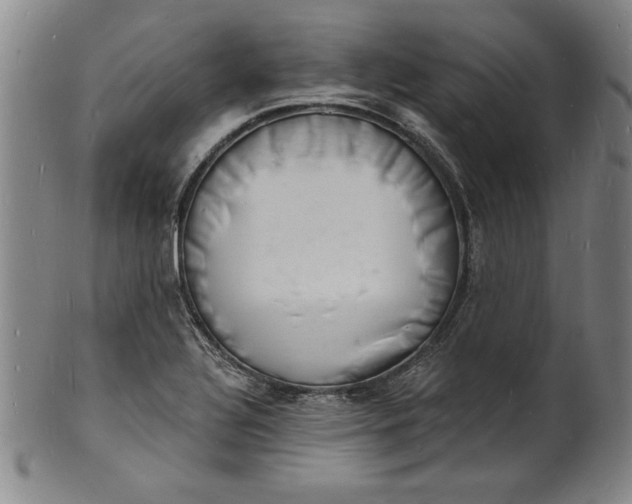 X0000102221320200808081308