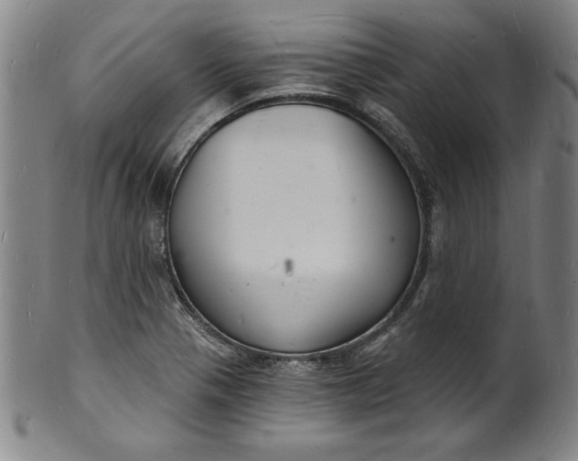 X0000102221321200808081308