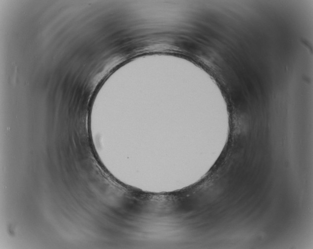 X0000102221322200808081308