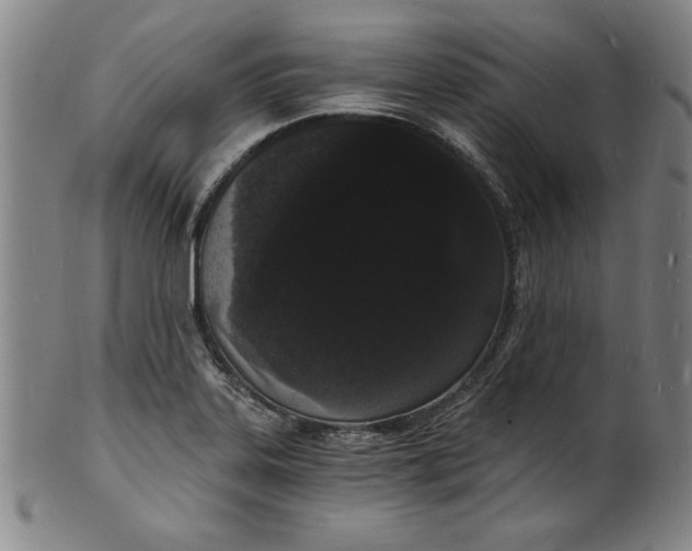 X0000102221323200808081308