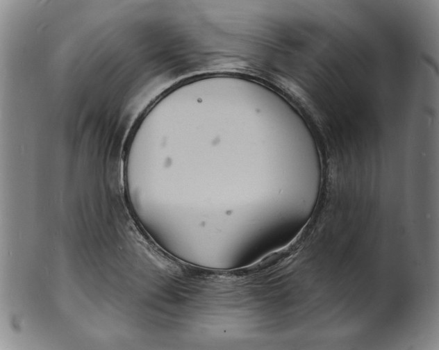 X0000102221324200808081308