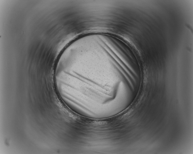 X0000102221325200808081308