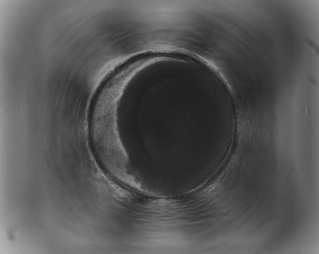 X0000102221327200808081308