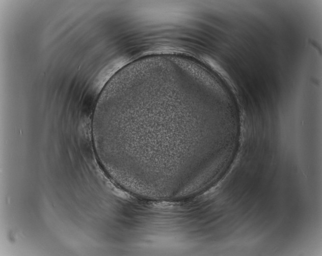 X0000102221329200808081308