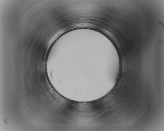 X0000102221330200808081308