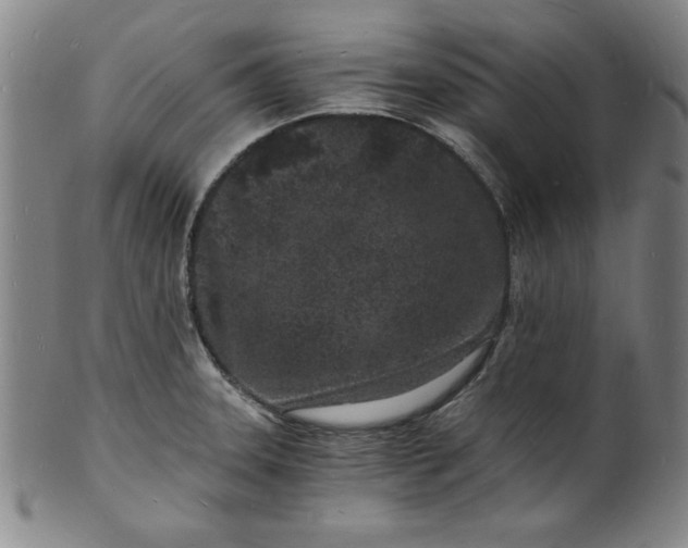 X0000102221331200808081308