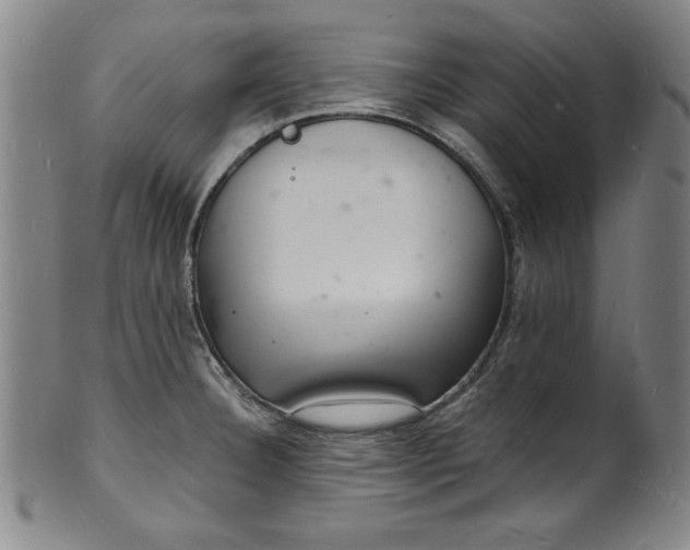 X0000102221332200808081308