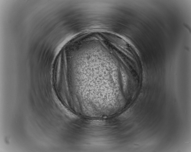 X0000102221333200808081308