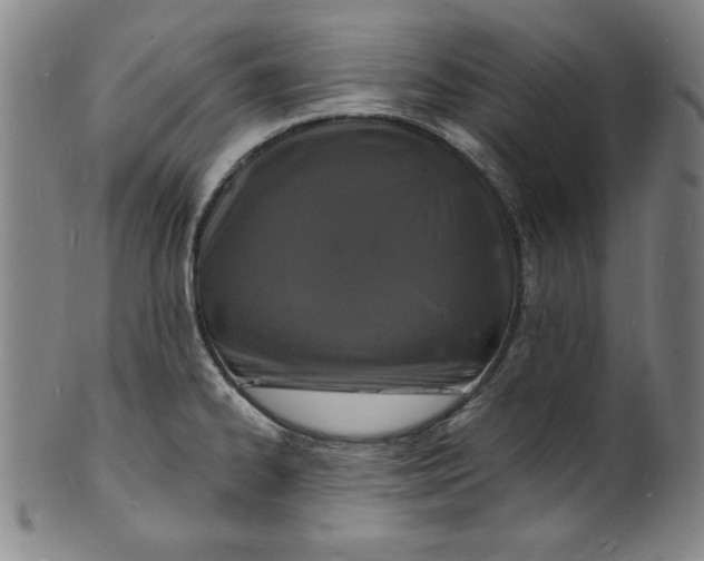 X0000102221334200808081308