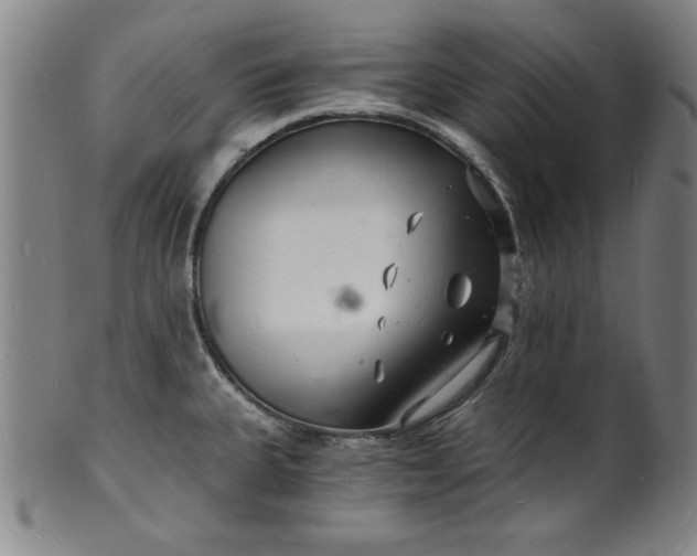 X0000102221335200808081308