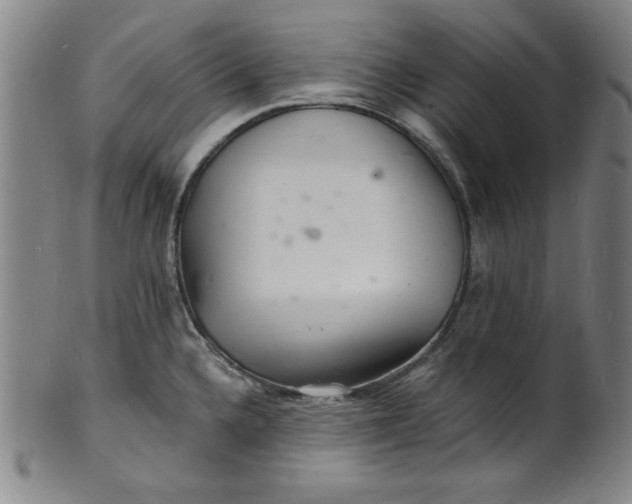 X0000102221336200808081308