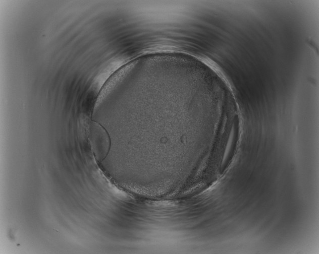 X0000102221337200808081308