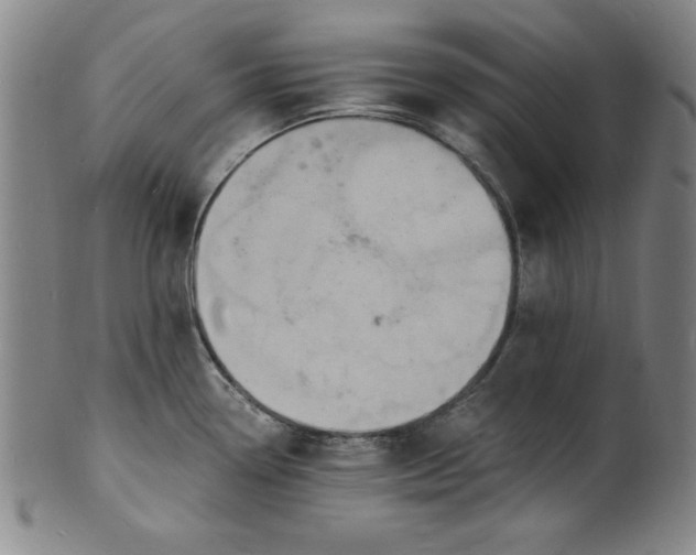 X0000102221338200808081308