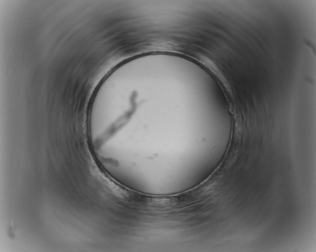 X0000102221339200808081308