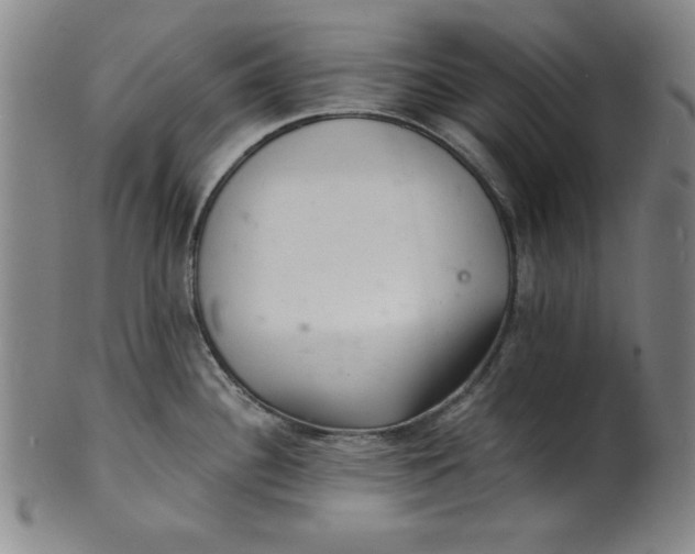 X0000102221340200808081308