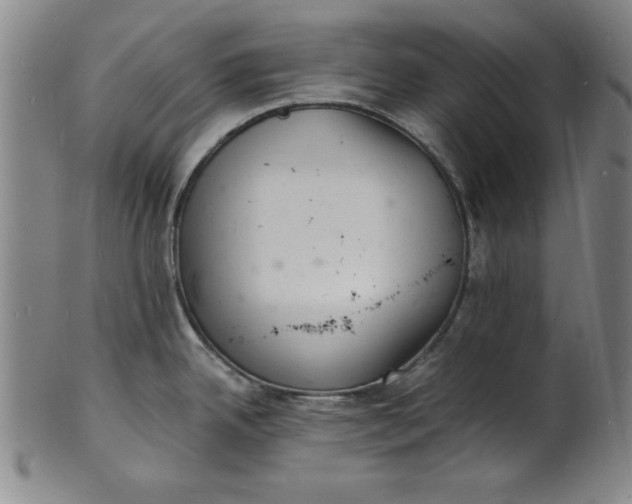 X0000102221342200808081308