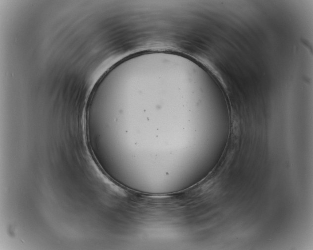 X0000102221343200808081308