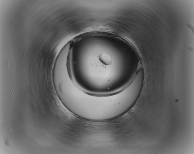 X0000102221344200808081308