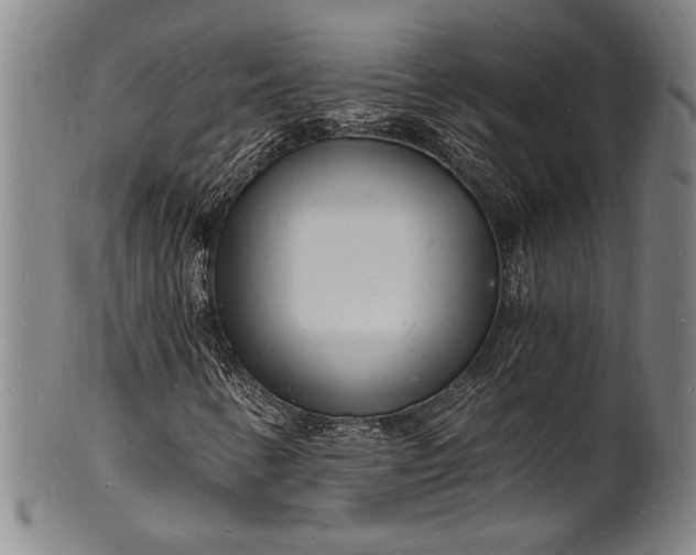 X0000102221346200808081307