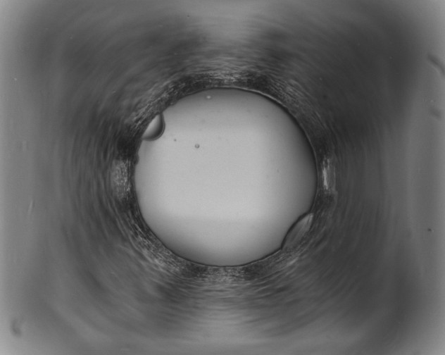 X0000102221347200808081307