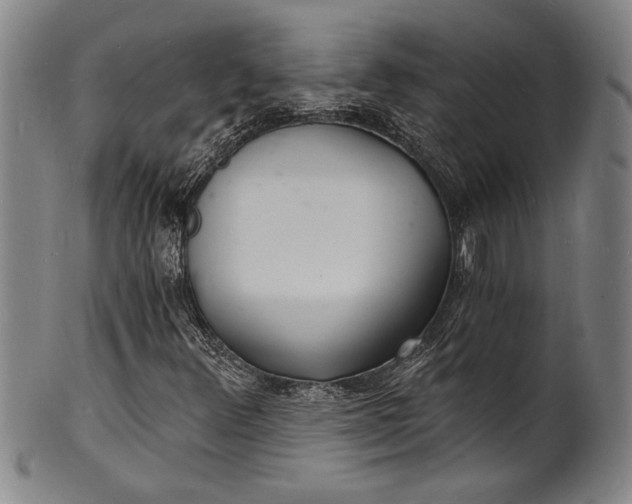 X0000102221348200808081307