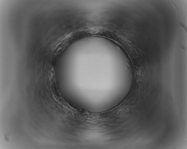 X0000102221349200808081307